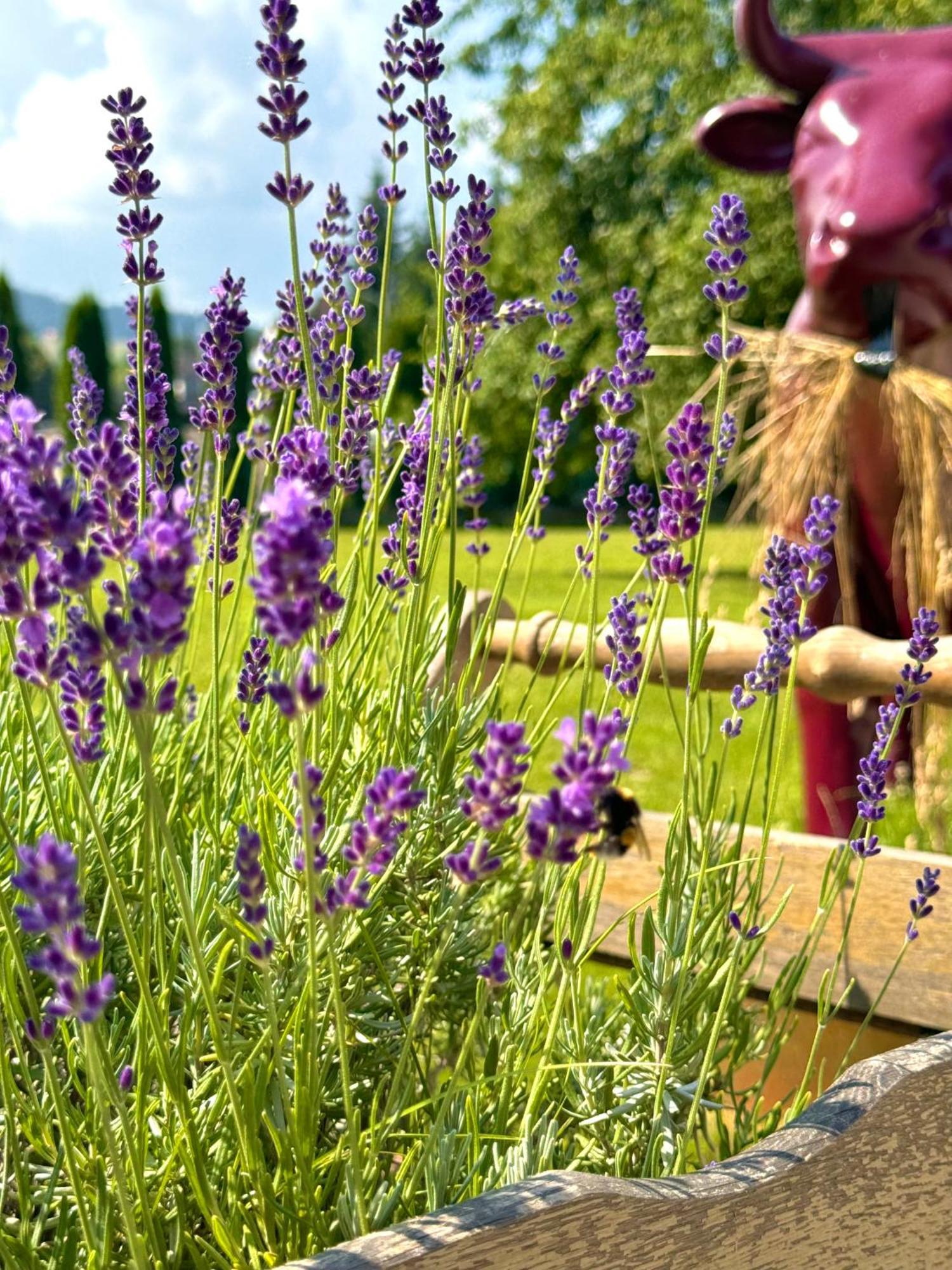 Apartamenty Agroturystyczne Papiernia Niedźwiedź Exteriör bild