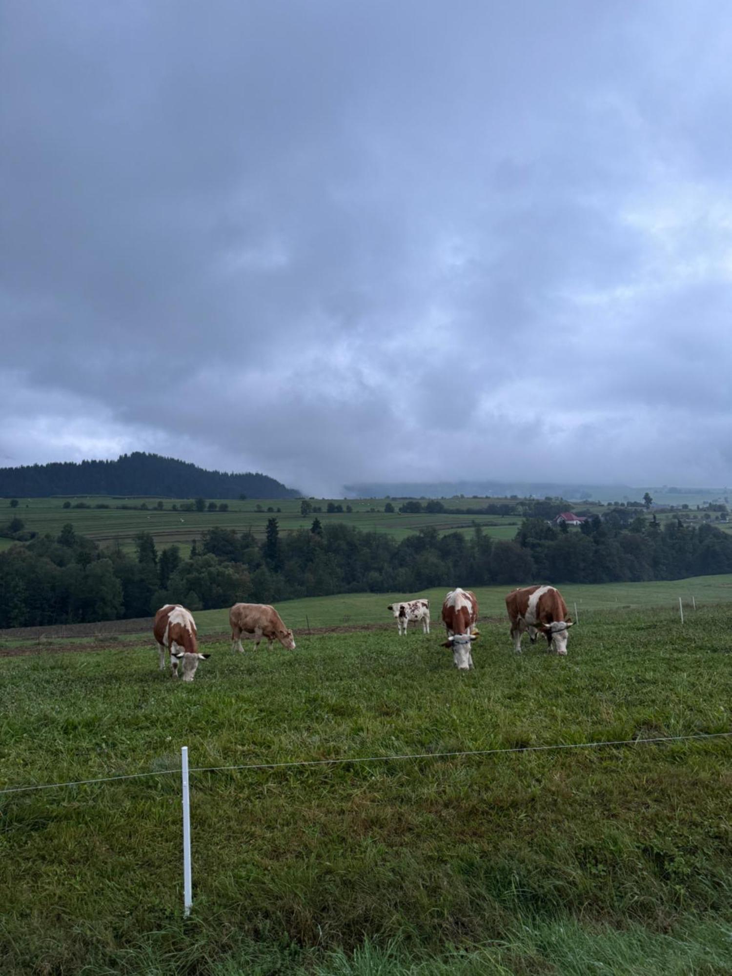 Apartamenty Agroturystyczne Papiernia Niedźwiedź Exteriör bild